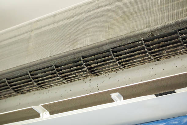 Best Air Duct Cleaning Near Me  in West Wyomissing, PA